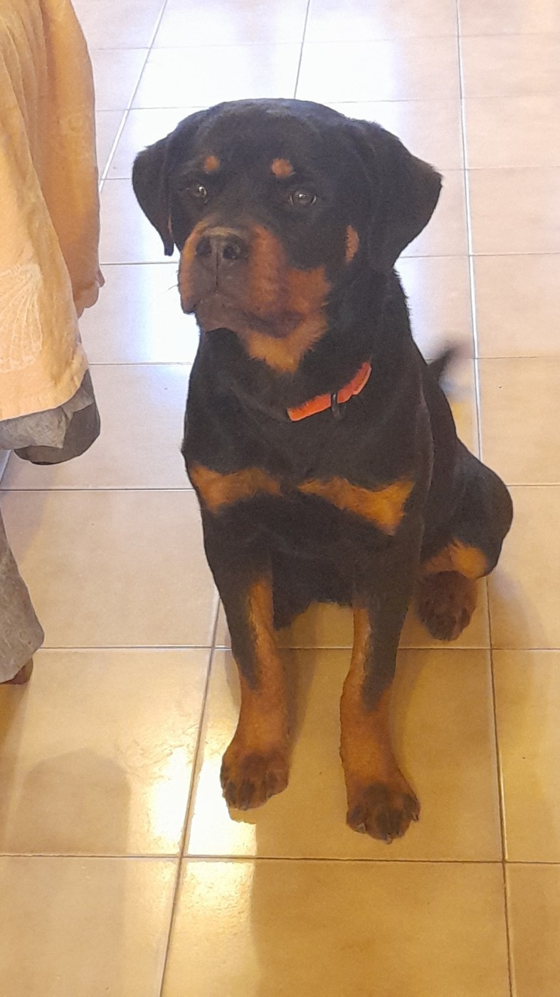 Aîka Du Rêve D'Azhar